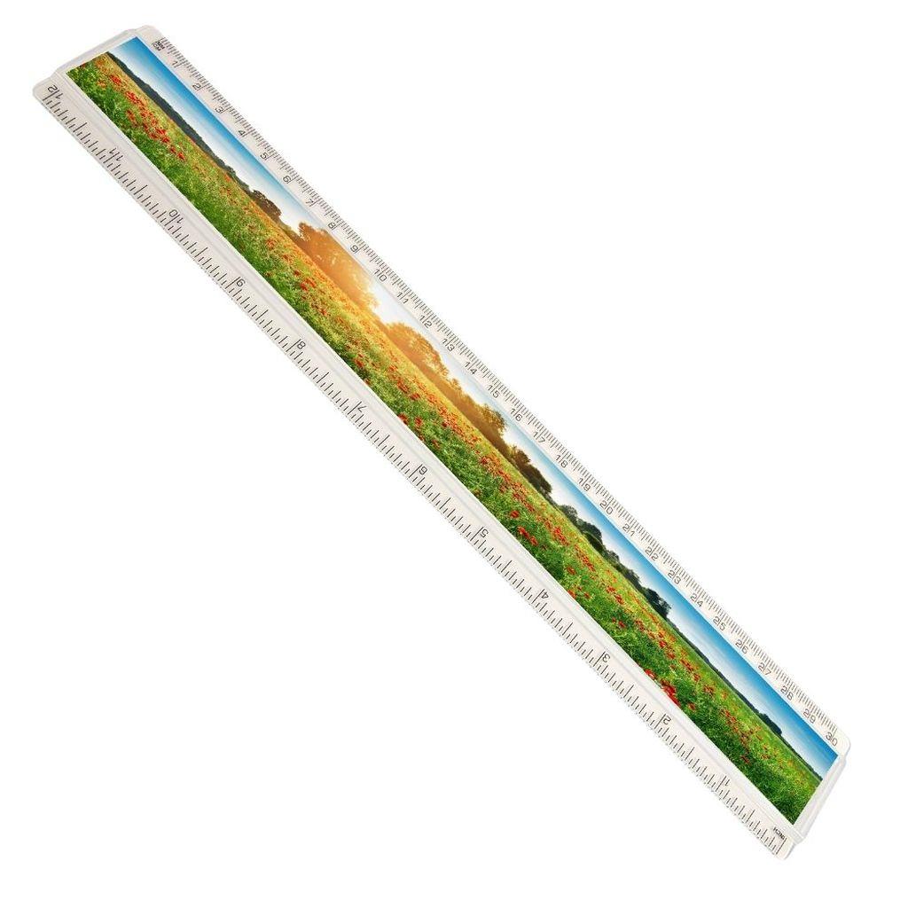 310 x 29mm T12 Insert Ruler 12 inch - Pack of 50 – Blankplastic.co.uk
