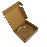 Oval Glass Paperweight Kit - Pack of 12